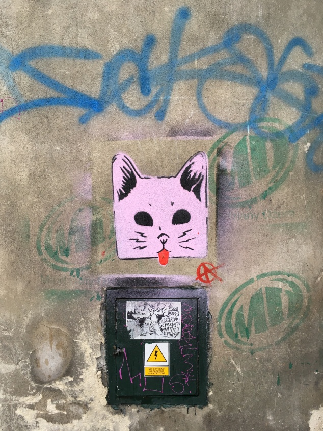 Cat stencil, Krakow street art